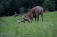 /album/fotogalerie-2019/a70626924-2658639087514908-7293723533765509120-o-jpg/